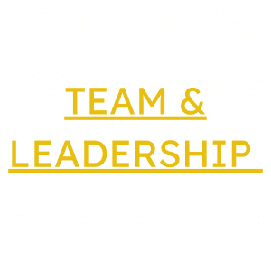 Bild leadership & team